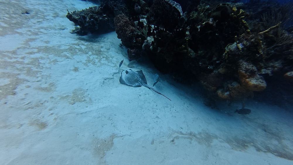 Cozumel — photo 19
