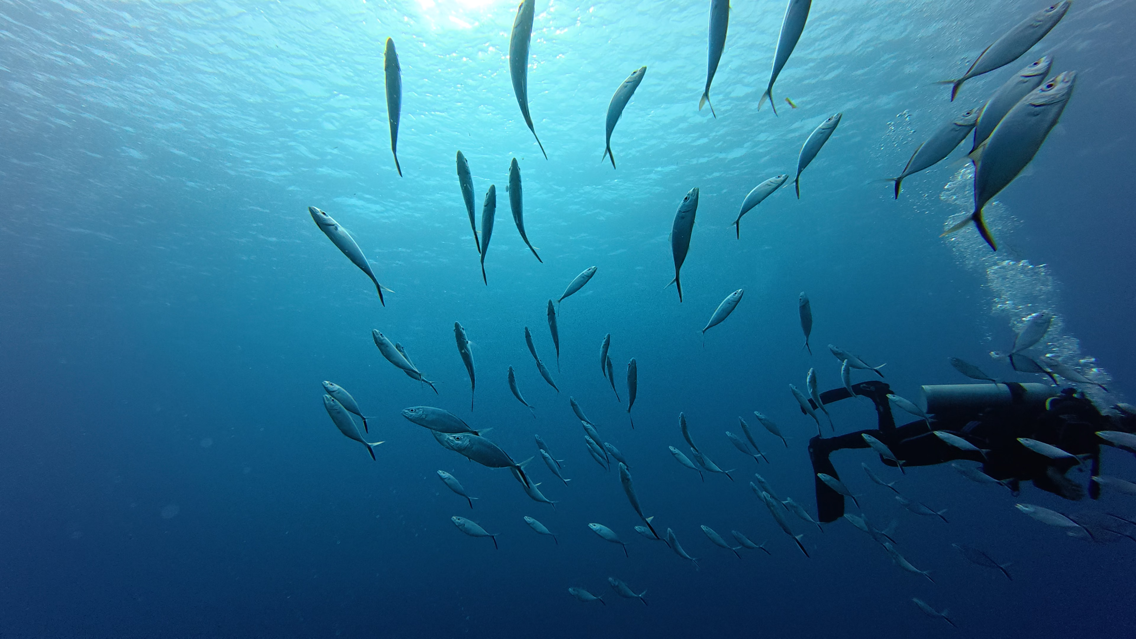 2 - 1758583693143.mp4